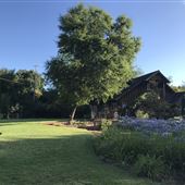 Seymour Ranch