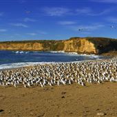 Wilder Ranch State Park (SP) / Four Mile Beach & Three Mile Beach