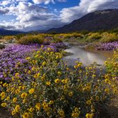 Anza-Borrego Desert State Park (SP)