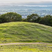 Taylor Mountain Regional Park