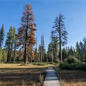 Ward Creek Park Property