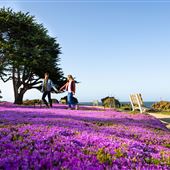 Pacific Grove