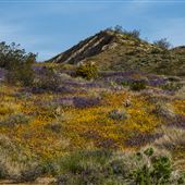 Onyx Ranch State Vehicular Recreation Area (SVRA)