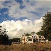 Bees Rock Ranch