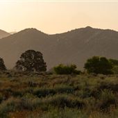 Hungry Valley State Vehicle Recreation Area (SVRA)