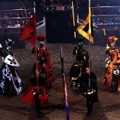 Medieval Times Dinner and Tournament