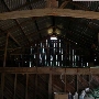Olivet Grange Vineyard