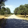 Auburn State Recreation Area (SRA)