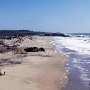 Pescadero State Beach (SB)