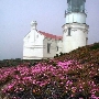 Point Conception Lighthouse