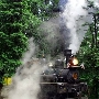 Roaring Camp Railroad