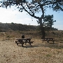 Baldwin Hills Scenic Overlook State Park (SP)