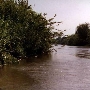 Santa Ana River within the Hidden Valley Wildlife Area