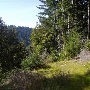 Branscomb Road