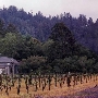 Santa Cruz, City Of