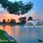Cerritos Iron-Wood 9 Golf Course