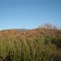 Featherly Regional Park