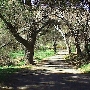 Solstice Canyon - National Park Service (NPS)