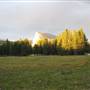 Tuolumne Meadows