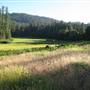Hodgdon Meadows