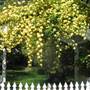 Vichy Springs Resort and Inn