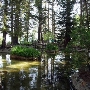 Tallac Historic Site  / Pope Estate