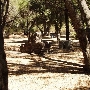Tapia Park @ Malibu Creek State Park (SP)