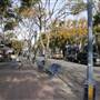 Westwood Village - Broxton Ave. (South)
