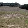 Topanga State Park (SP)