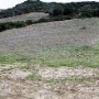 Topanga State Park (SP)