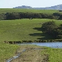 Tresch Dairy