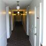 Commonwealth Town House - Roxbury