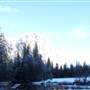 Yosemite Winter