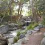 Descanso Gardens