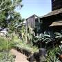 California Nursery Specialties - Cactus Ranch