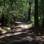 Big Basin Redwoods State Park (SP)