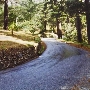 Fern Canyon Road