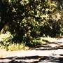 Huasna Road