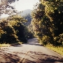 Salmon River Road