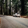 Highway 236 - Felton