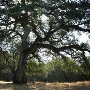 Hidden Falls Regional Park