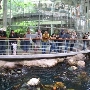 California Academy of Sciences