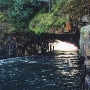 Tunnel Chute
