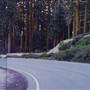 Everitt Memorial Highway