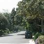 Chapman Woods Neighborhood Streets