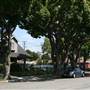 West Adams Neighborhood Historic District