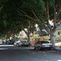West Adams Neighborhood Historic District