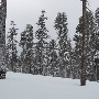 Yosemite National Park