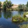 San Joaquin River Gorge Special Recreation Management Area / Millerton Lake State Recreation Area - SRA