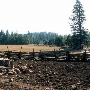 Butte Meadows